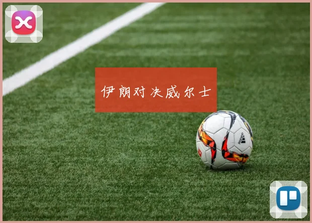 伊朗对决威尔士