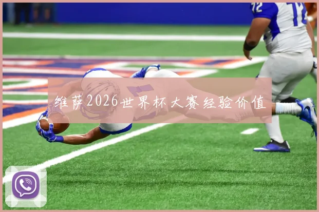 维萨2026世界杯大赛经验价值