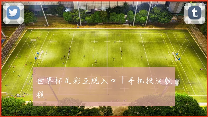 世界杯足彩正规入口｜手机投注教程