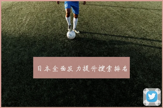 日本全面发力提升搜索排名