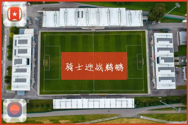 骑士迎战鹈鹕