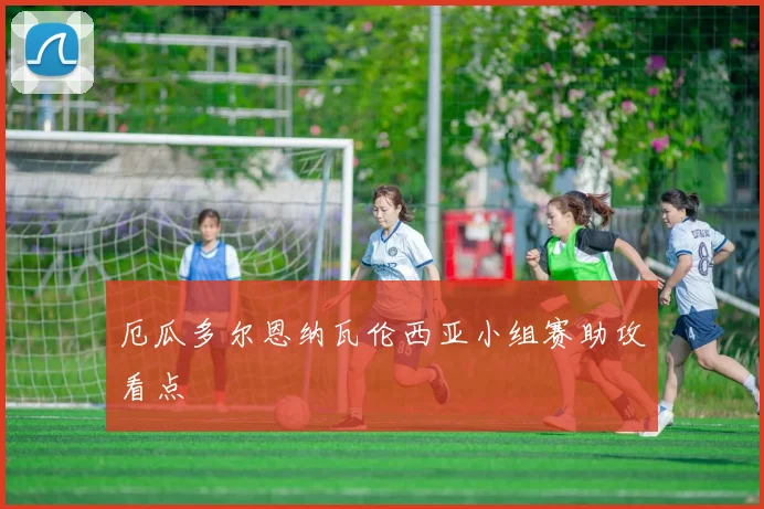厄瓜多尔恩纳瓦伦西亚小组赛助攻看点