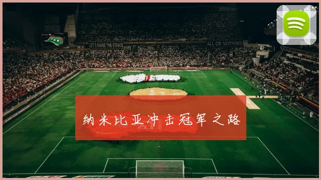 纳米比亚冲击冠军之路
