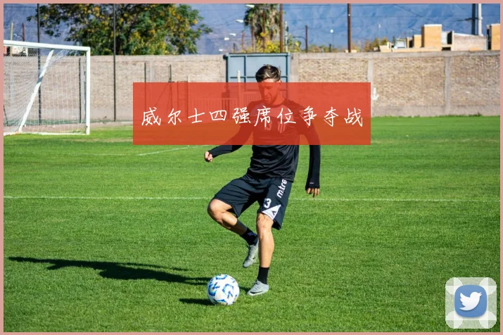 威尔士四强席位争夺战