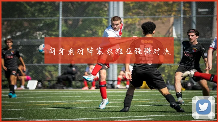 匈牙利对阵塞尔维亚强强对决