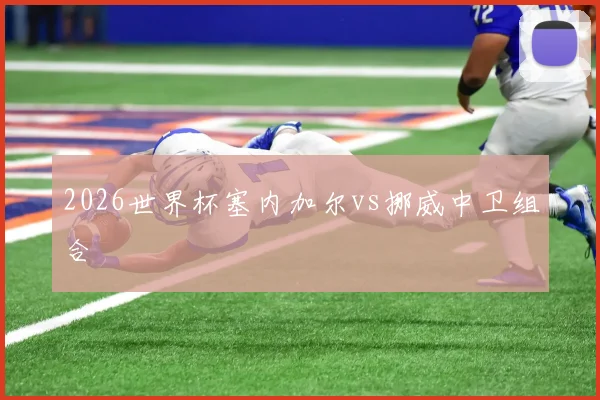 2026世界杯塞内加尔vs挪威中卫组合