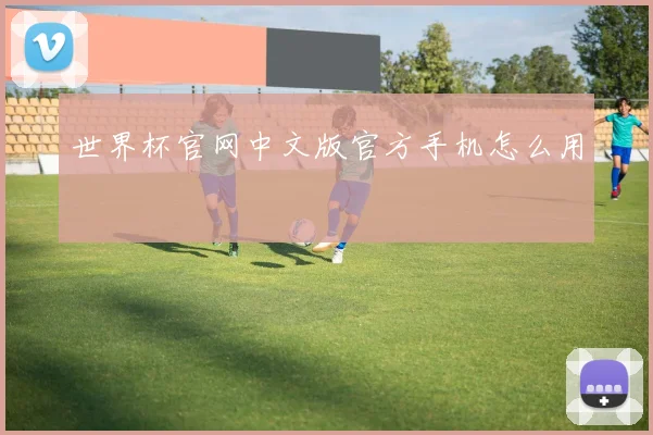 世界杯官网中文版官方手机怎么用