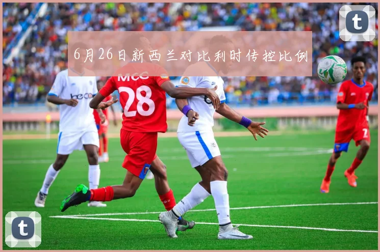6月26日新西兰对比利时传控比例