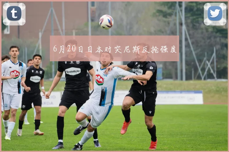 6月20日日本对突尼斯反抢强度